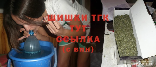 ECSTASY Каменка