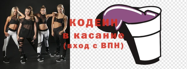 2c-b Каменногорск