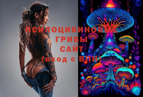 ECSTASY Каменка