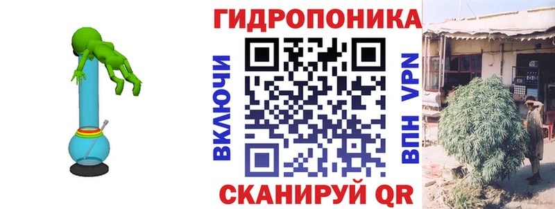 Каннабис White Widow  Купить закладки  Каменногорск 